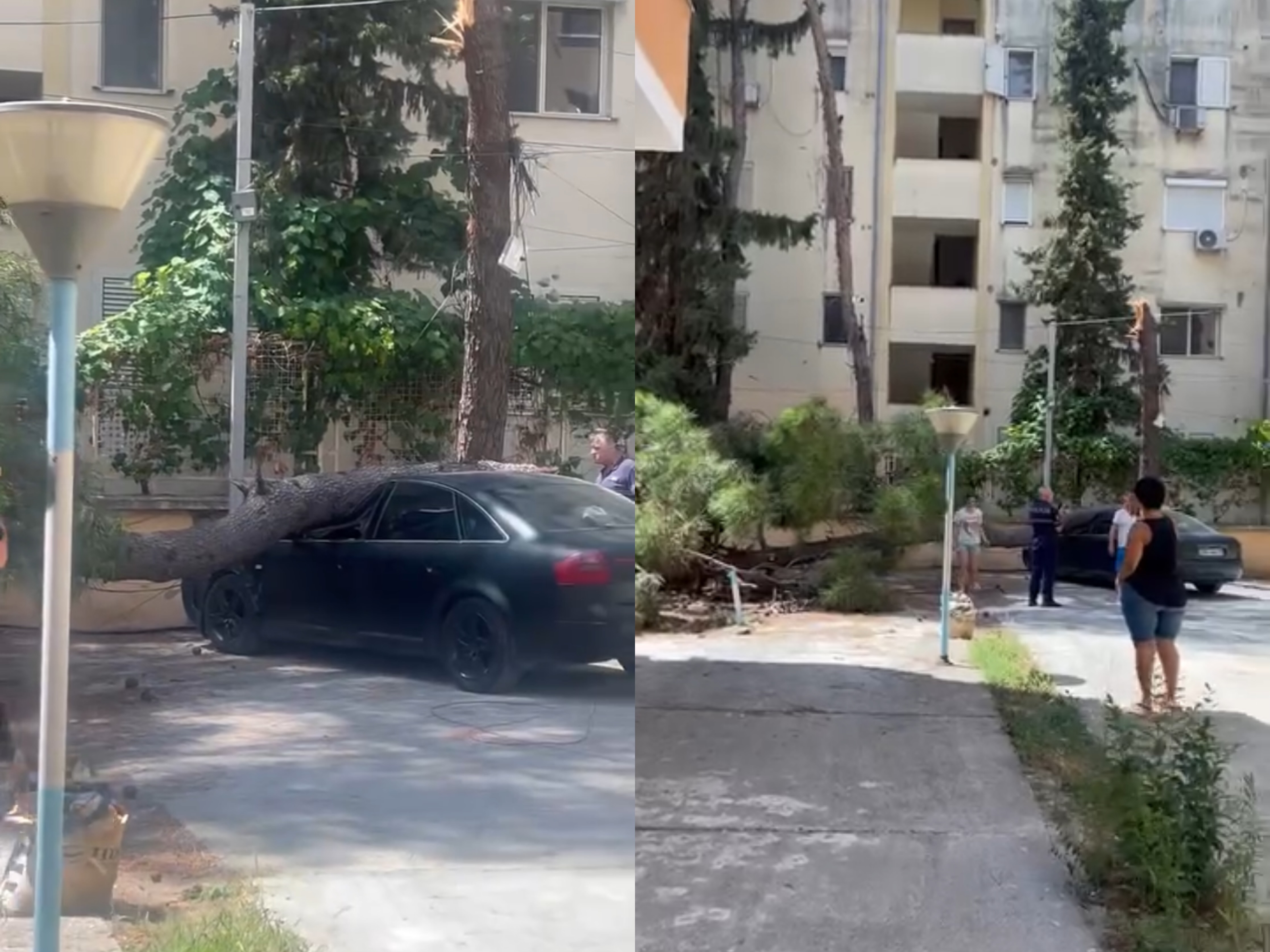 Pishat e vjetra në Golem rrezik për banorët, era e fortë rrëzon një mbi makinë