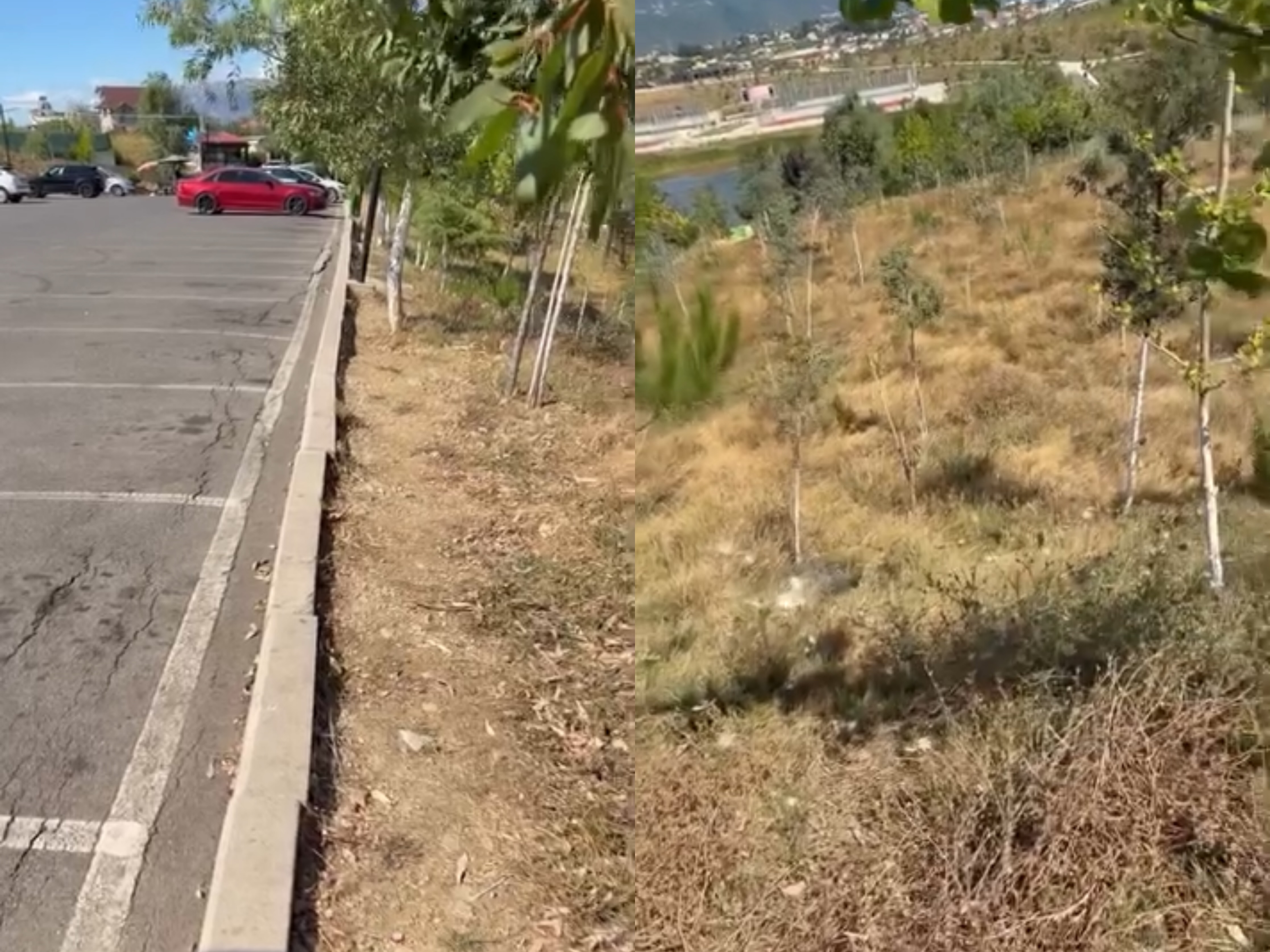 Asfalt i plasaritur dhe bar i tharë  qytetari ngre alarmin për Liqenin e Paskuqanit