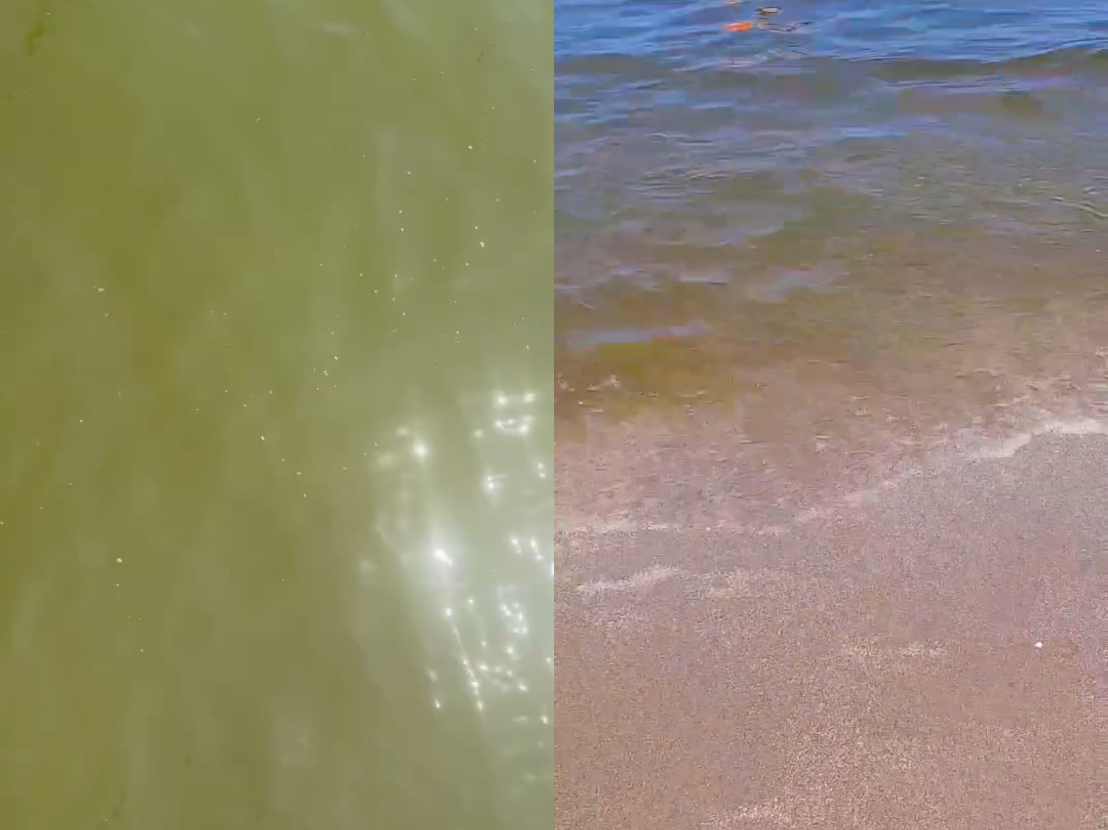 Deti te Gjiri i Lalëzit ndryshon komplet ngjyrë, pushuesit kanë frikë të lahen