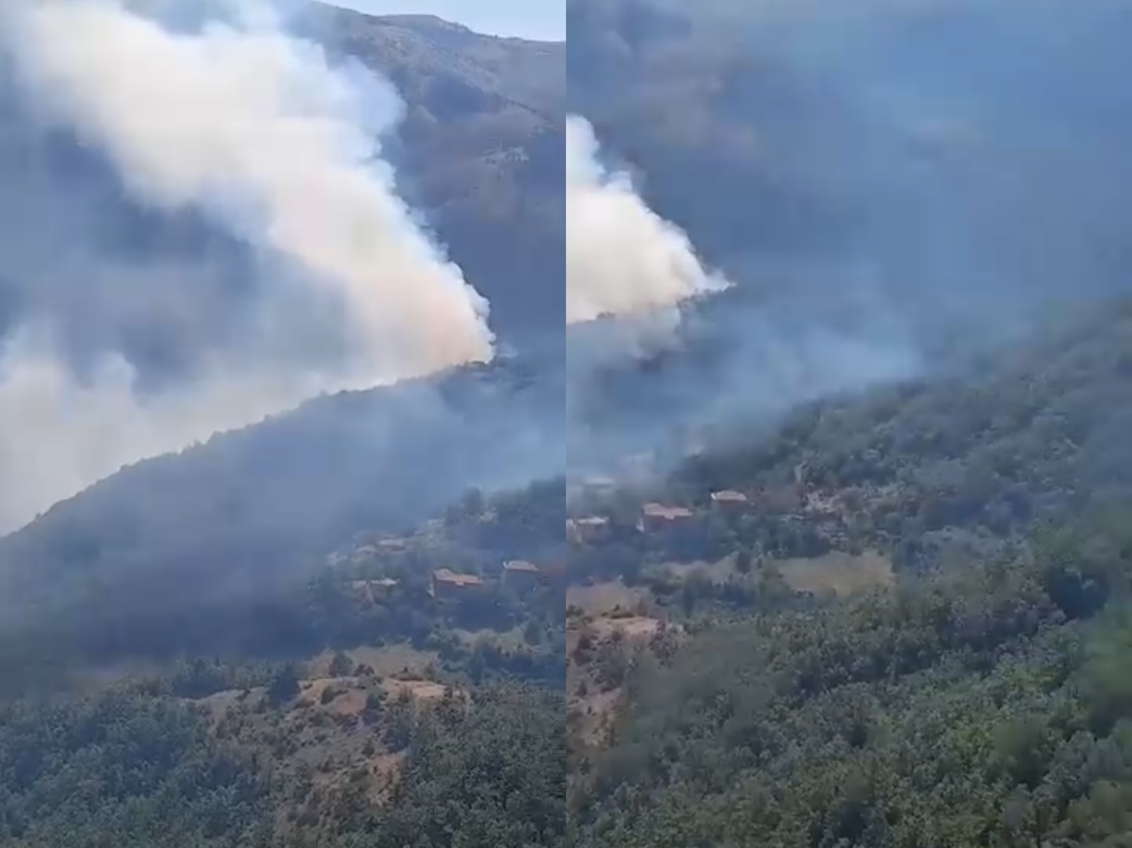Zjarr i madh pranë Stojanit, në rrezik pyjet me gështenja dhe dhjetëra banesa