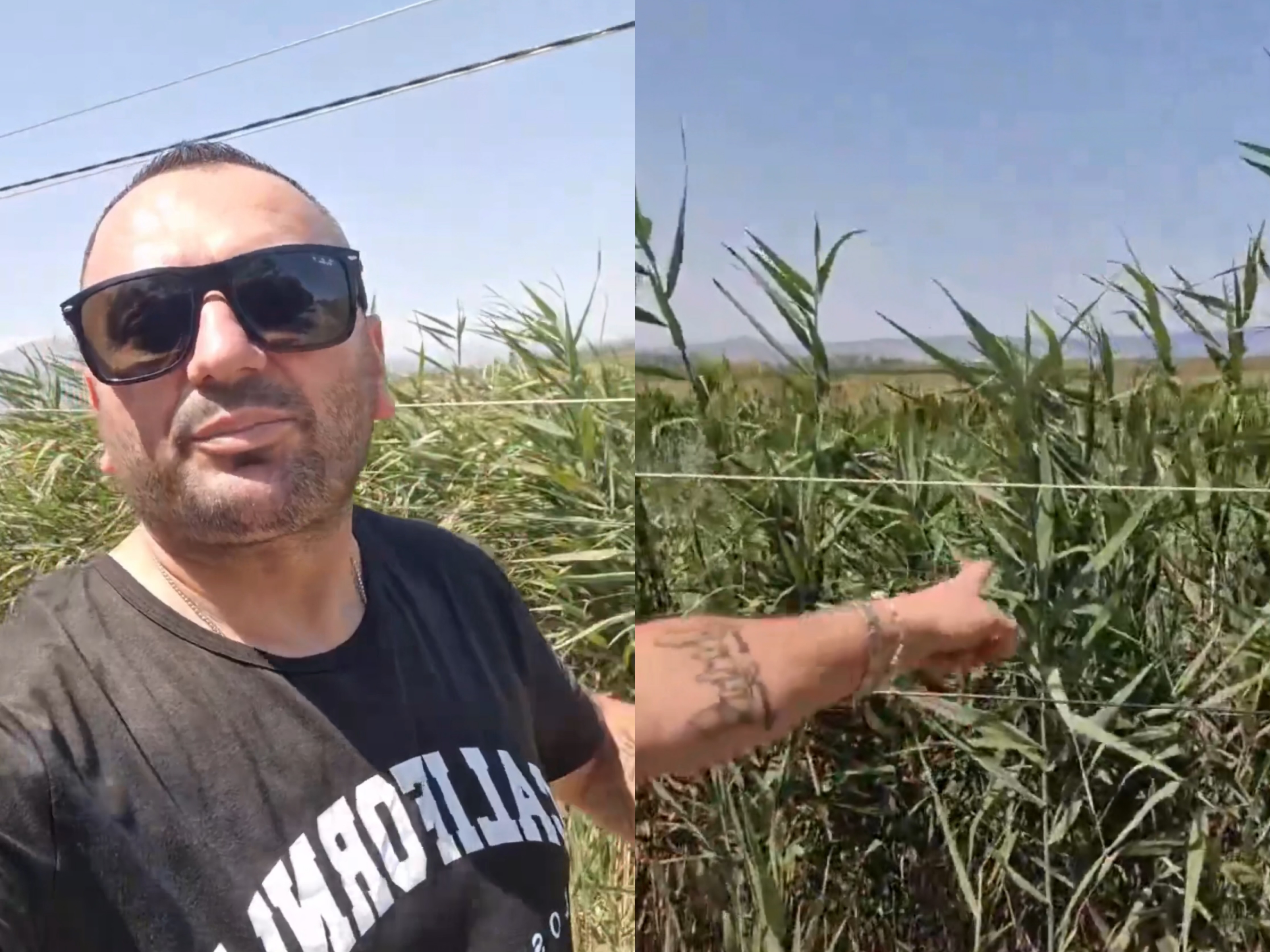 Shtyllat elektrike në Mylte kanë rënë  telat janë përtokë dhe çdokush mund t i prekë