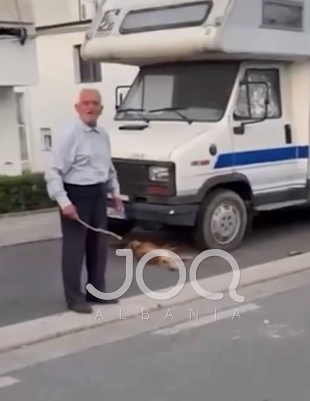 Pas publikimit në JOQ procedohet penalisht i moshuari që rrahu qenin deri në ngordhje
