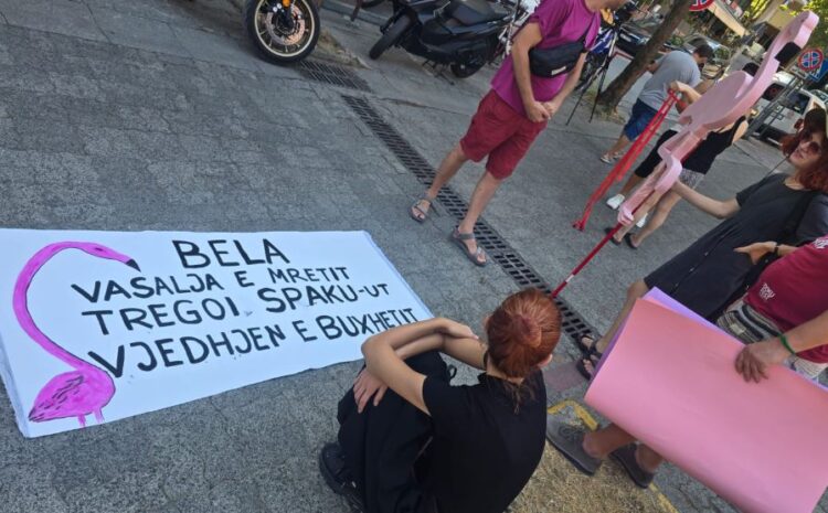 “Bela vasalja e mbretit tregoi SPAK-ut vjedhjen e buxhetit”