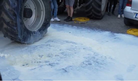 AUV kap 46 produkte me vaj palme të padeklaruar