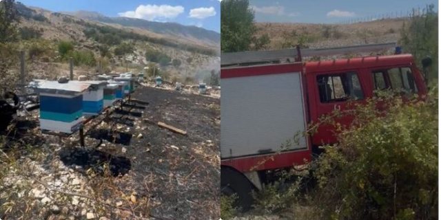 Përfshihet nga flakët një park bletësh në Gjirokastër