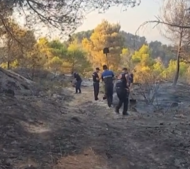 Zjarri në Mallakastër neutralizohet me kazma e lopata