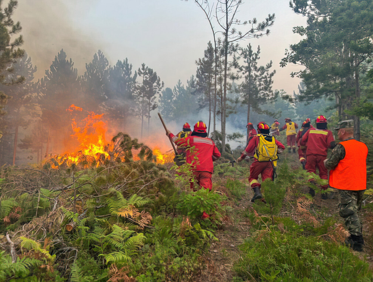Plagoset efektivi i Forcave të Armatosura gjatë operacionit kundër zjarreve në Mirditë