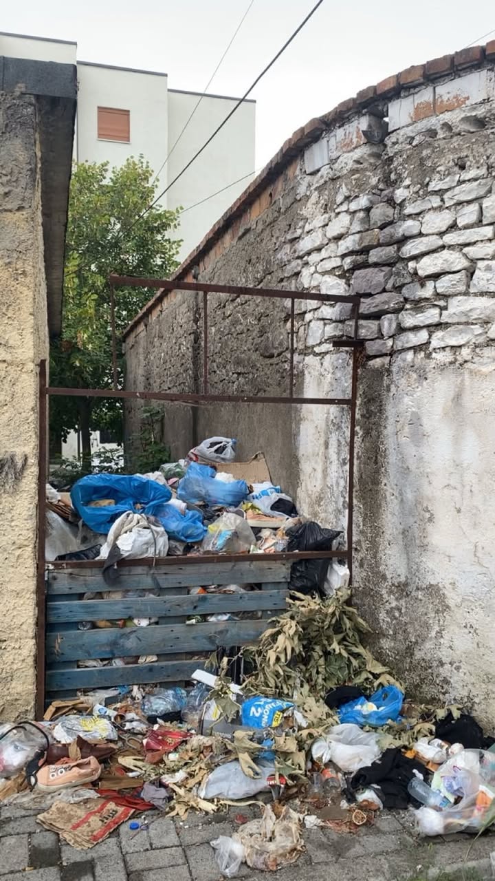 Plehrat pushtojnë lagjen në Elbasan