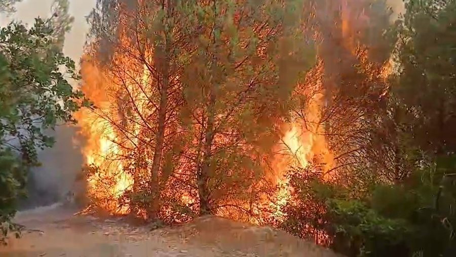 Riaktivizohet zjarri në Drenie, rrezikohet “mushkëria e Myzeqesë”