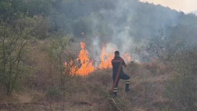 Zjarret në Mat jashtë kontrollit, flakët u afrohen banesave në Lundre