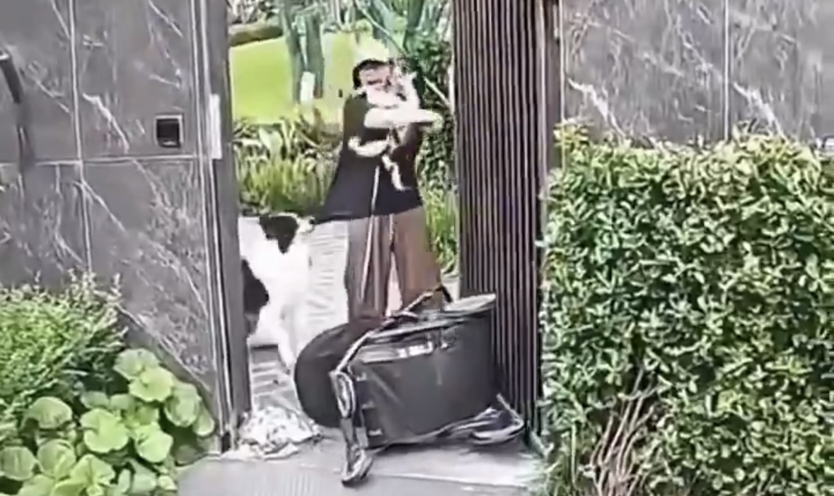 Fëmijën apo qenin  Kë do shpëtonit të parin në rast sulmi 