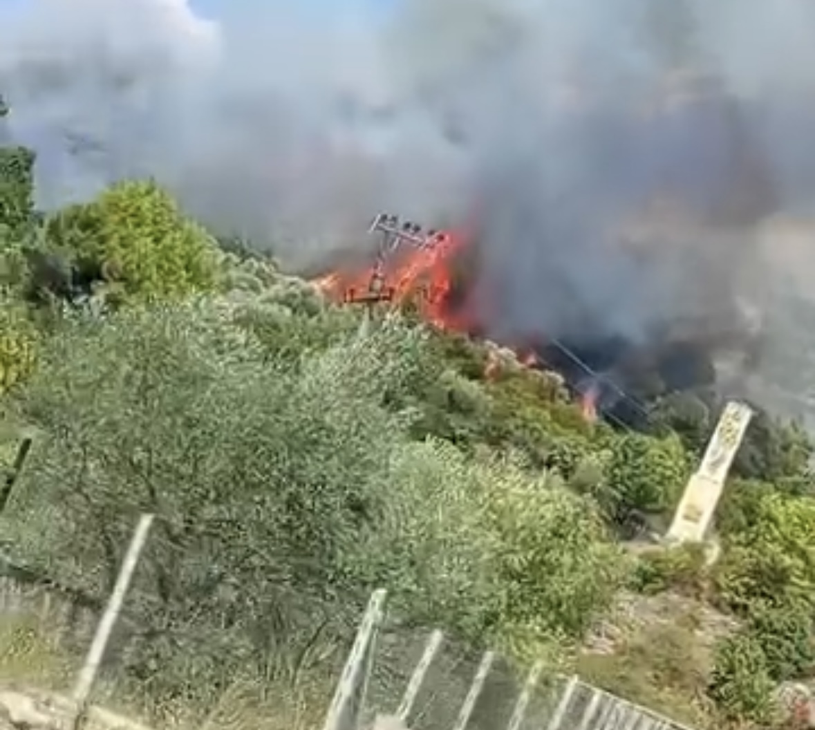 Zjarre të reja në Krujë: Flakët përfshijnë pishat në Halil, vatër edhe në lagjen Abaze