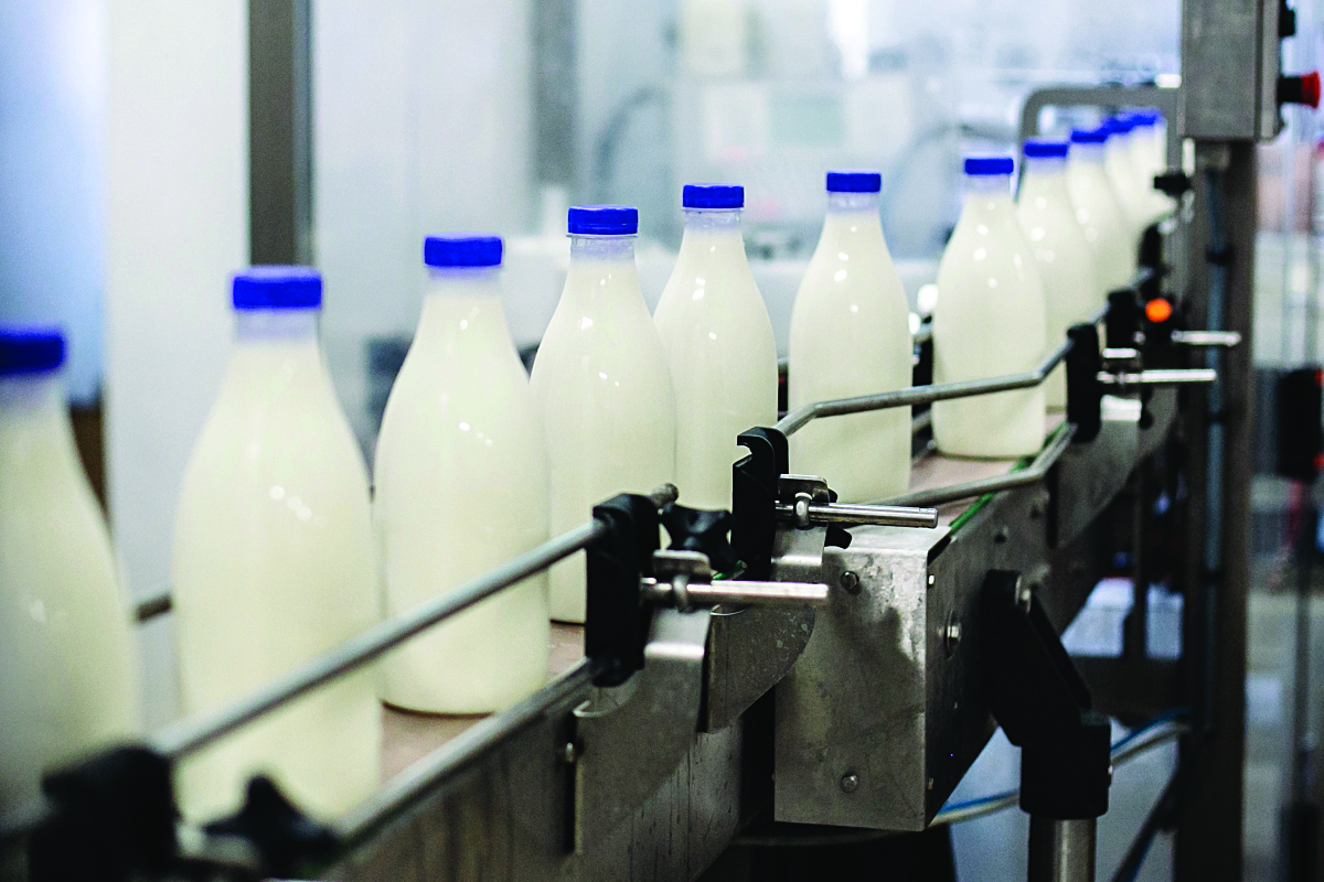 Nisin sot kontrollet në gjithë zinxhirin e tregtimit të qumështit dhe produkteve të tij