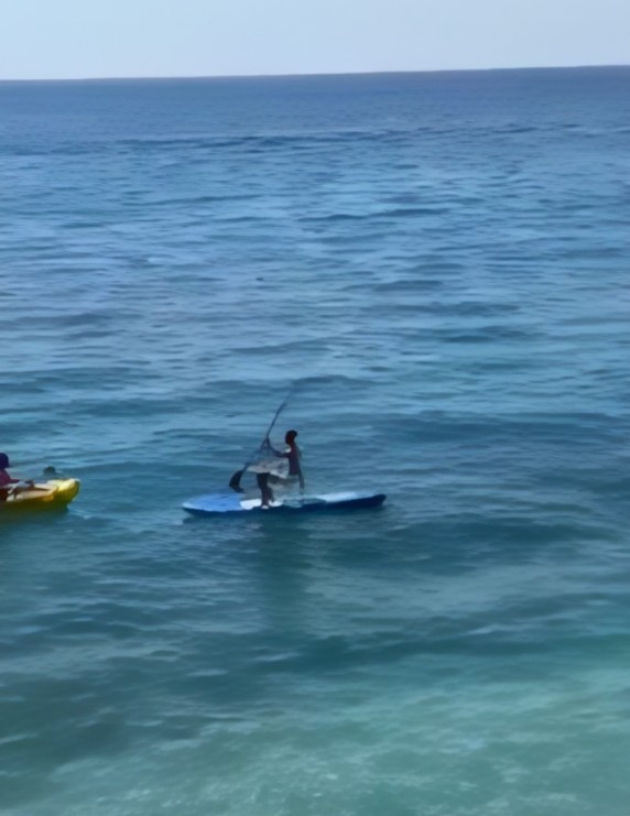 Shqiptari sfidon grekun me paddle  A ia doli 