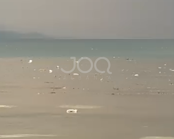 Masakër mjedisore në Liqenin e Ohrit, mbeturinat lundrojnë në ujë