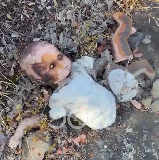 “Magji e zezë në Krrabë? Kukull e copëtuar, gjilpëra dhe një foto fëmije”