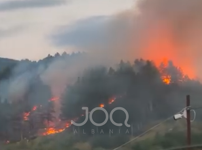 Zjarr rrezikon banesat në Maqellarë, banorët kërkojnë ndërhyrje me helikopter