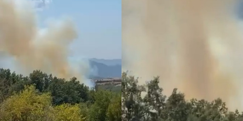 Zjarr në pyjet e Priskës së Madhe  prej 1 ore ende asnjë ndërhyrje nga ajri