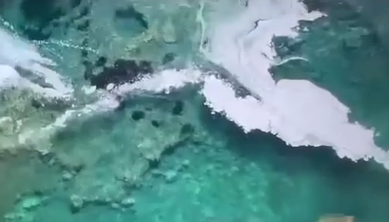 Anijet ndosin Porto Palermon, pushuesit dalin nga deti me njolla vaji në trup
