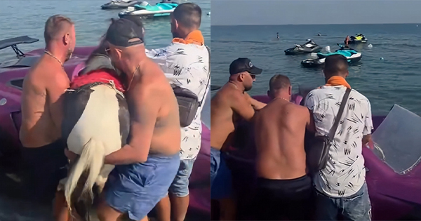 Velipojë  Hipin kalin në Jetski për t i bërë xhiro në det