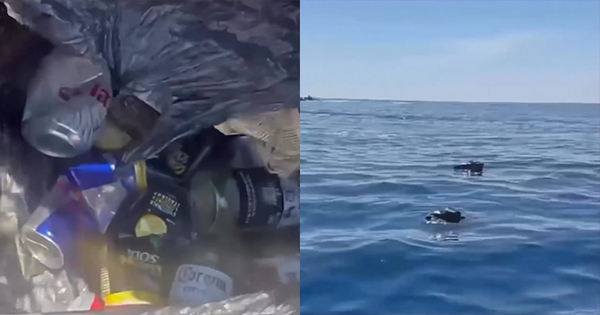 “Bastardët”: Zhytësi denoncon ndotjen masive në detin Jon