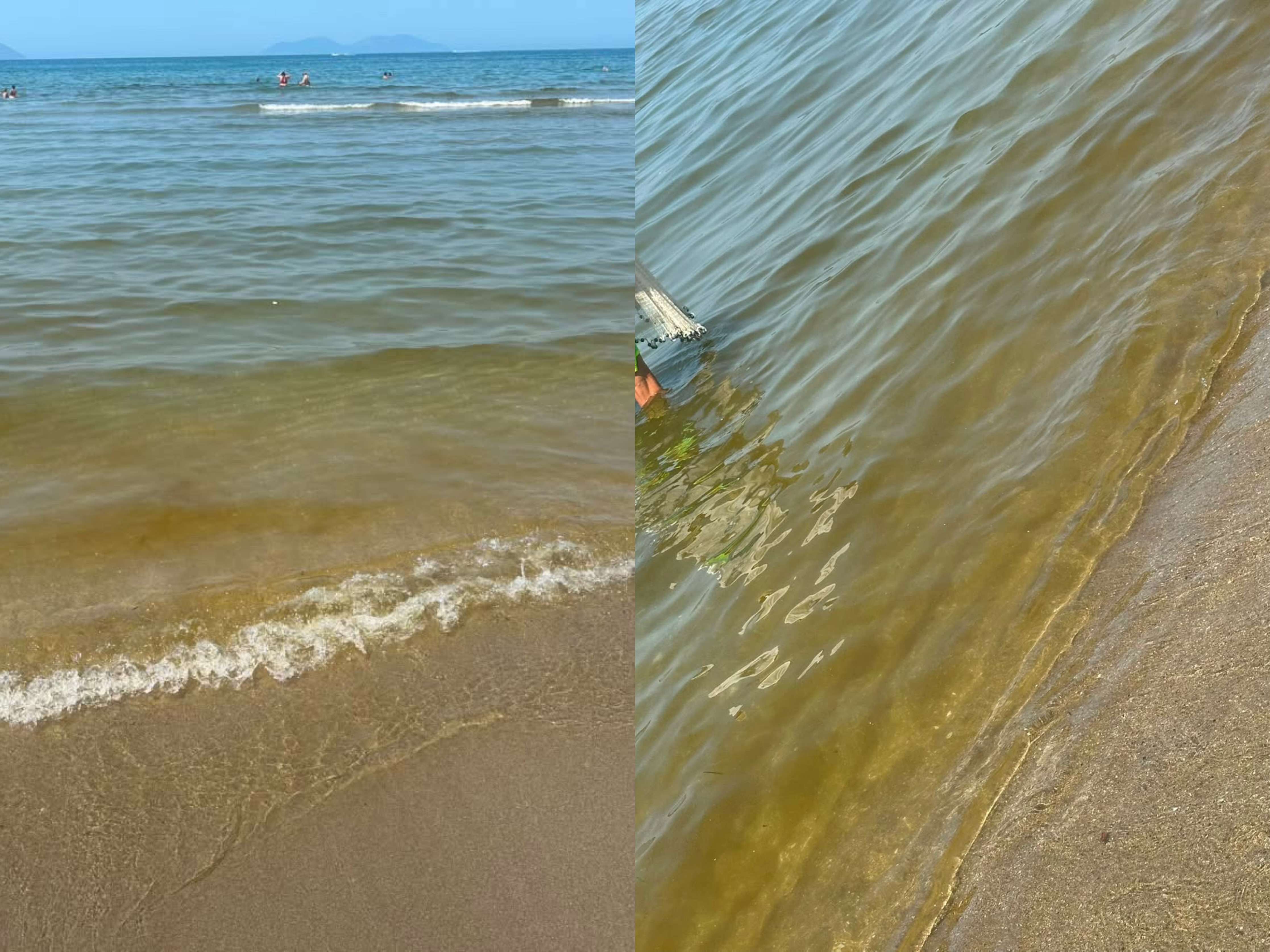 “Anijet hedhin vaj në det çdo të mërkurë në Lungomare, uji merr ngjyrë të verdhë”