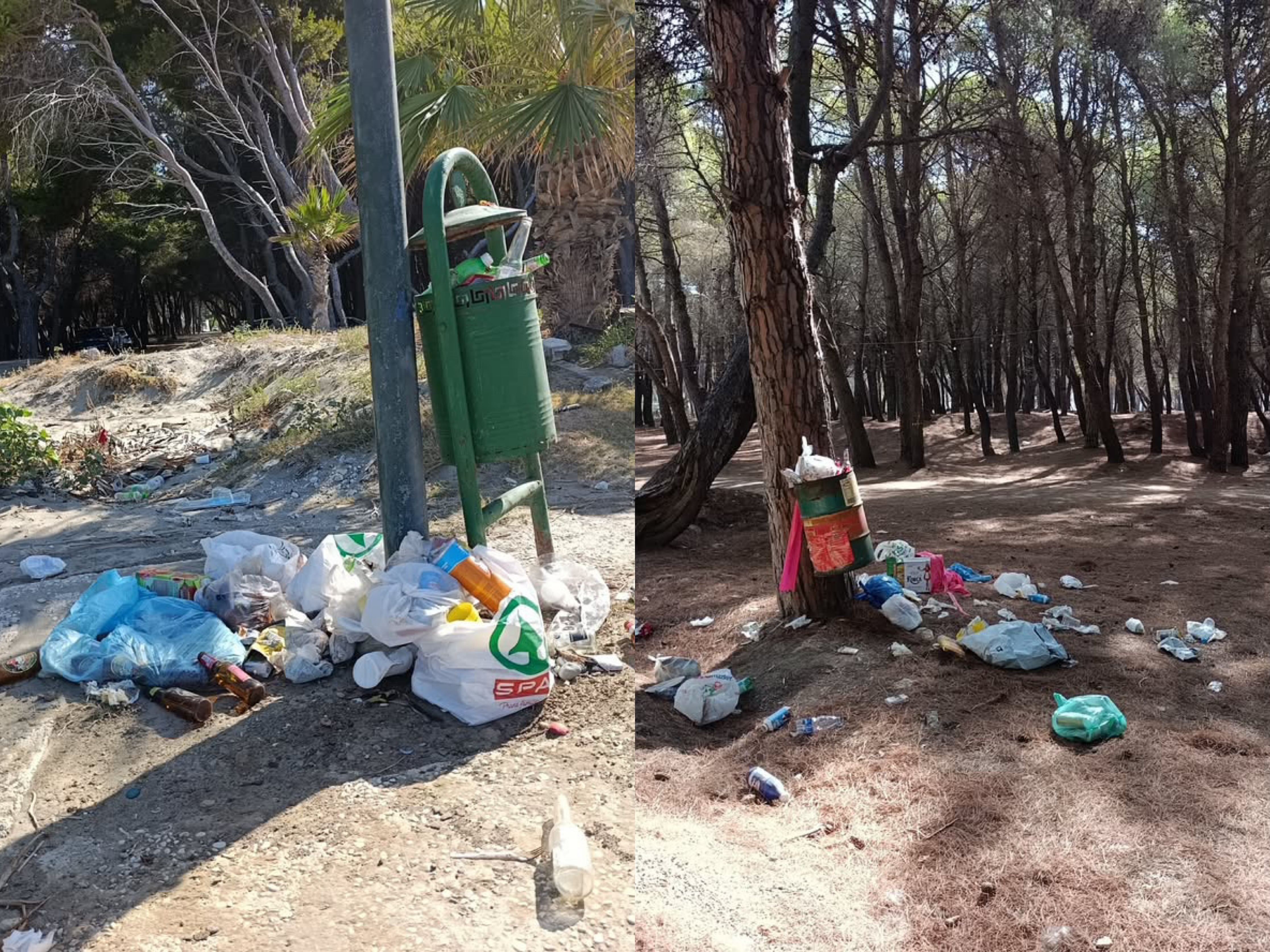 Plehrat pushtojnë Pyllin e Sodës në Vlorë