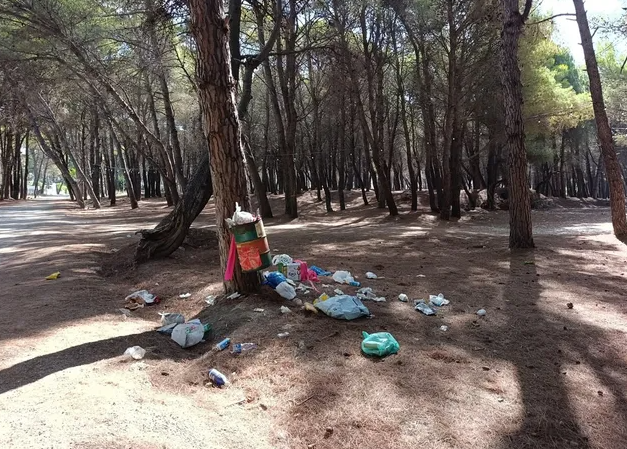 Pylli i Sodës plot plehra, qytetari: Gjendja vijon prej një jave