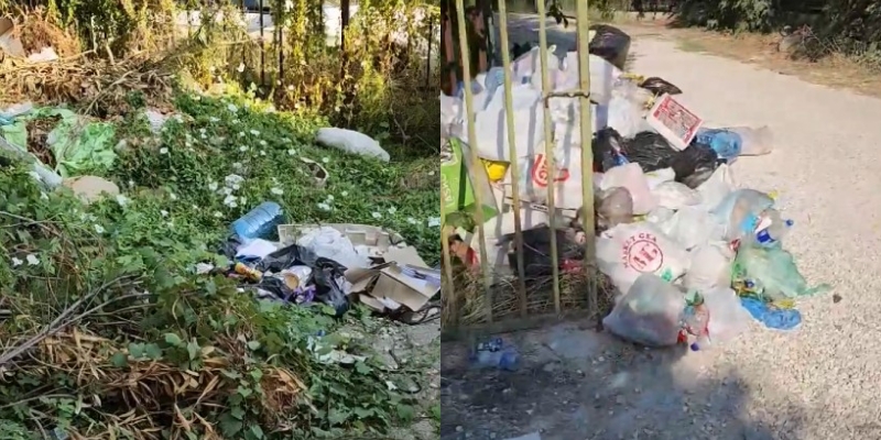 Plehrat pushtojnë Kavajën, krijojnë vatër infeksioni! Qosja me pushime