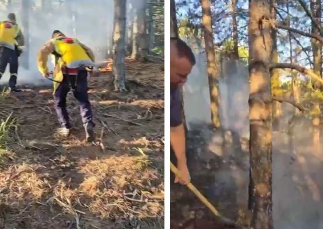 Zjarri rrezikon kurorën e gjelbër të Pukës