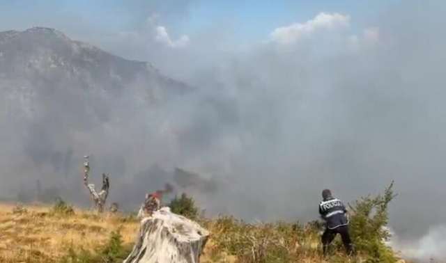 Lundër/ Zjarri del jashtë kontrollit, flakët rrezikojnë banesat dhe të mbjellat