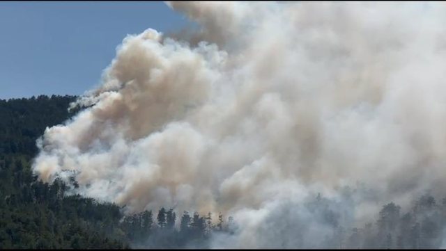 Zjarri në Tërbun vijon prej tre ditësh, rreziku i flakëve
