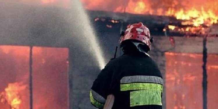 Rojet e zjarreve në Tepelenë: Kemi punuar dy muaj dhe nuk jemi paguar