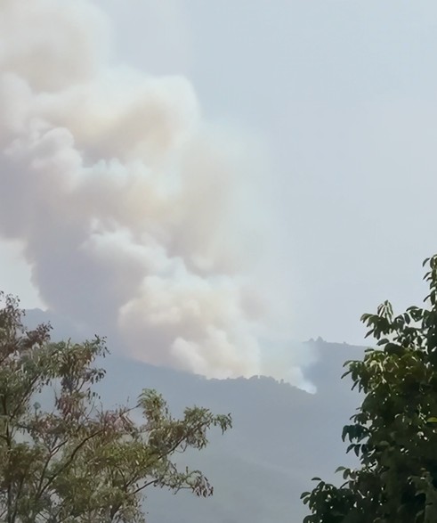 Zjarr i fuqishëm në Therepel të Skraparit, flakët drejt një stacioni gazi