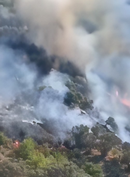Zjarri shkrumbon ullinjtë shekullorë dhe banesa në Kryezi të Kavajës