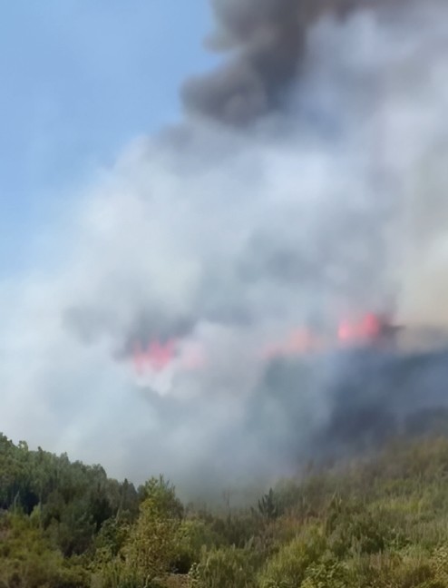 Zjarr i madh në Lezhë, banorët kërkojnë ndërhyrje të menjëhershme