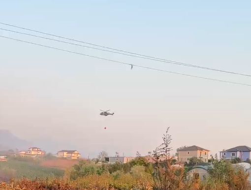  Dëme të mëdha në Fushë Krujë   Zjarri djeg ullinj shekullorë  banori   Mbi 50 hektarë 