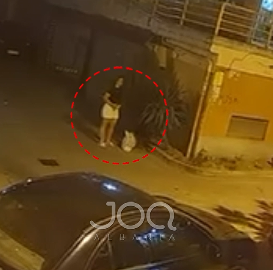 “I la mbeturinat te hyrja e pallatit”/ Denoncimi nga Fresku
