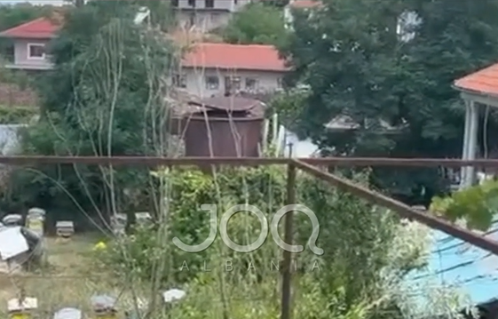 “E kemi jashtëzakonisht të vështirë të dalim, nëna është alergjike”/ Denoncimi nga Bilishti