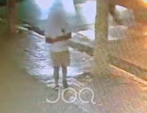 “Më ra portofoli dhe nuk e vura re”/ Qytetari kërkon kthimin e dokumenteve në Kamëz
