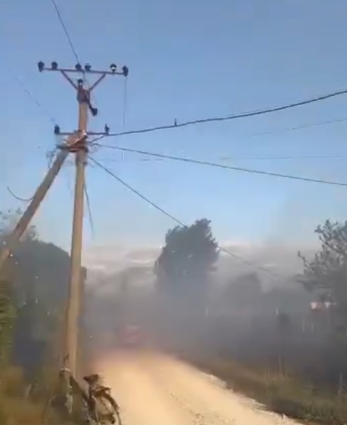 Zjarr në Bilaj  ndërsa flakët po afrohen pranë banesave dhe era po favorizon përhapjen