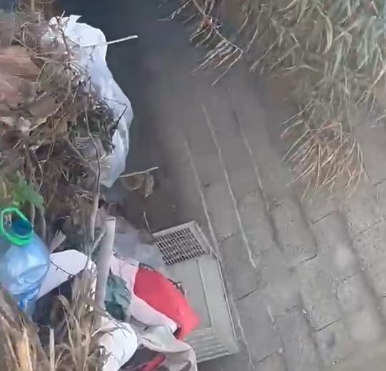 “Plehrat mblidhen dhe nuk vjen askush t’i pastrojë”/ Banori denoncon situatën në Kavajë