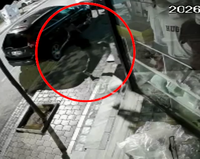 I riu ia shfryn nervat ventilatorit, e shkelmon disa herë dhe largohet si pa të keq