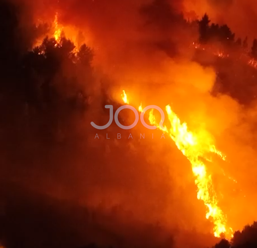 Pamje dramatike nga zjarri në Fier, era e fortë favorizon përhapjen e flakëve