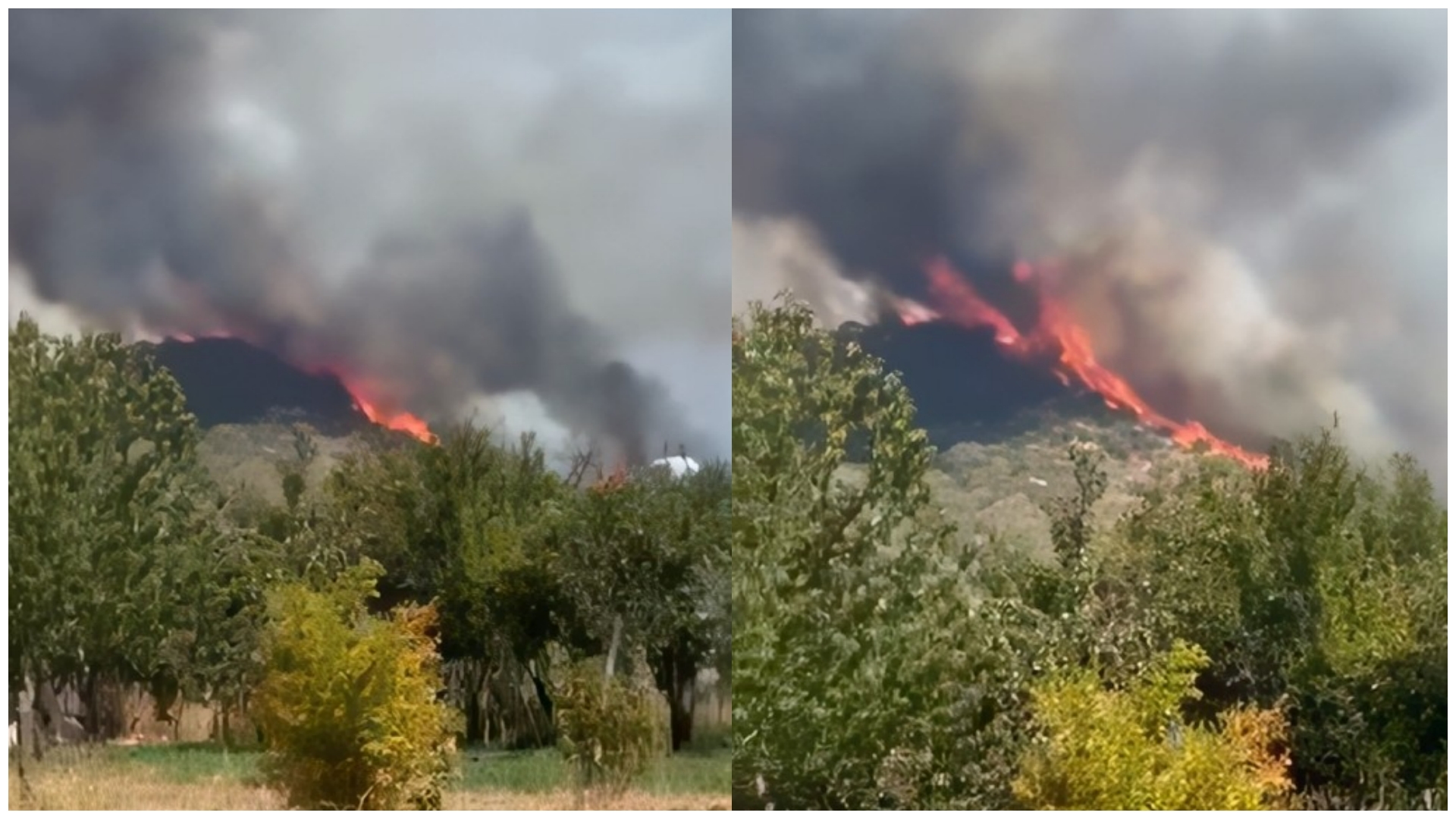 Zjarr i madh në Meselim të Shkodrës, flakët dhe tymi pushtojnë zonën