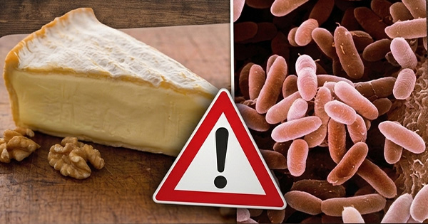 zbardhet-lista-44-restorantet-ku-u-tregtua-djathi-brie-me-bakterin-e-rrezikshem-listeria