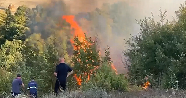 Zjarr në fshatin Karicë të Matit: Flakët përhapen me shpejtësi
