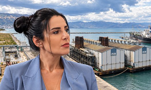 “Tigrat” e Vlorës që hanë miliona pa prodhuar energji: ERE pezullon licencën