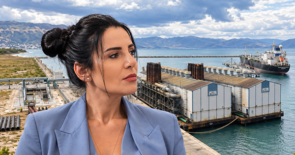  Tigrat  e Vlorës që hanë miliona pa prodhuar energji  ERE pezullon licencën