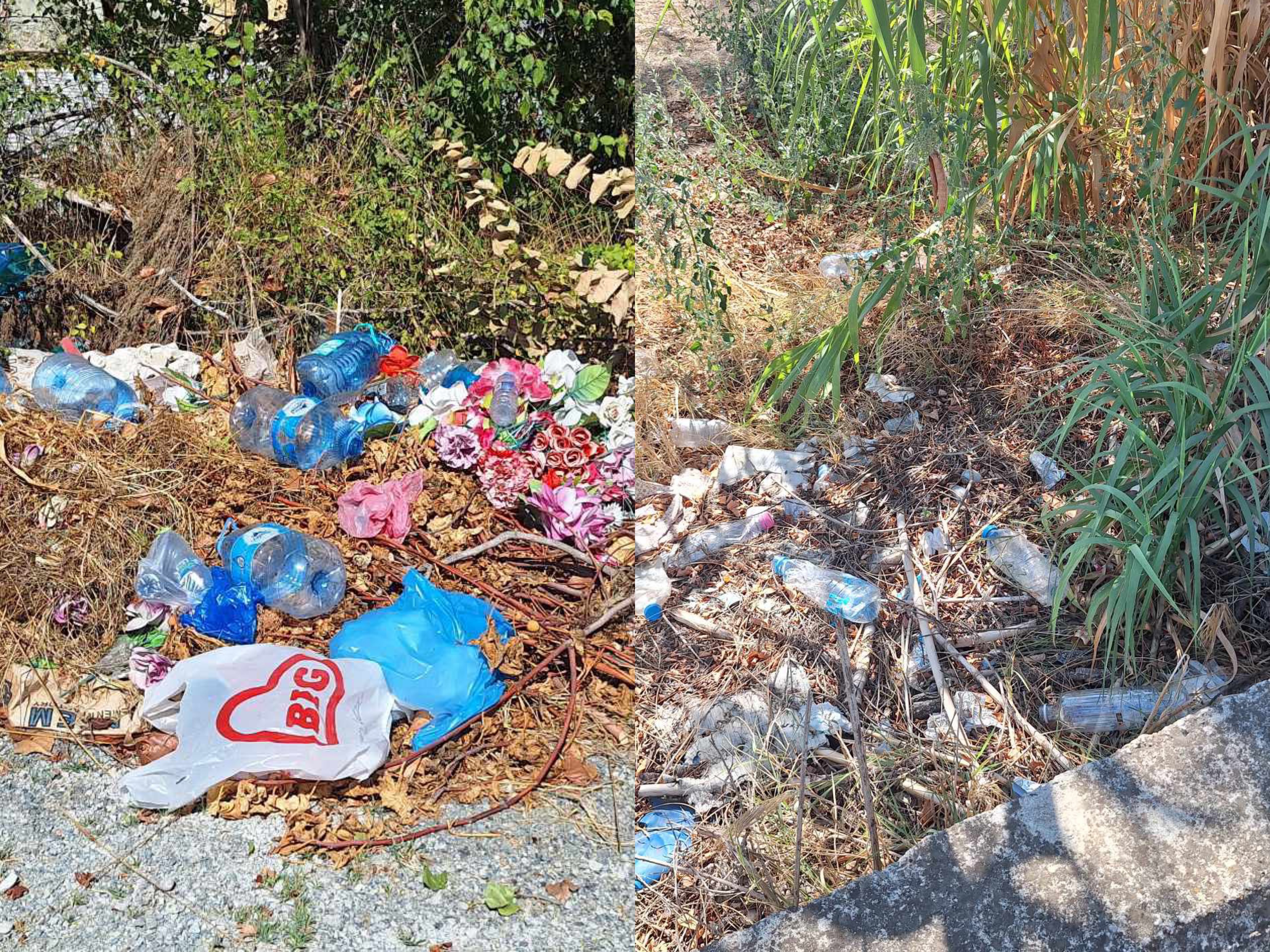 Varrezat e Shalësit në Cërrik mbulohen nga bari dhe mbeturinat